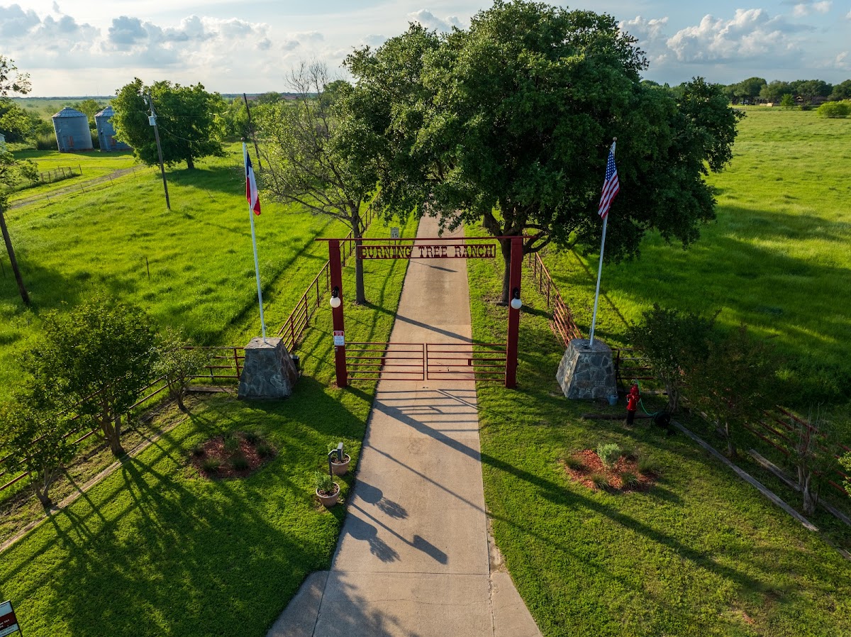 Burning Tree Ranch - Photo 3