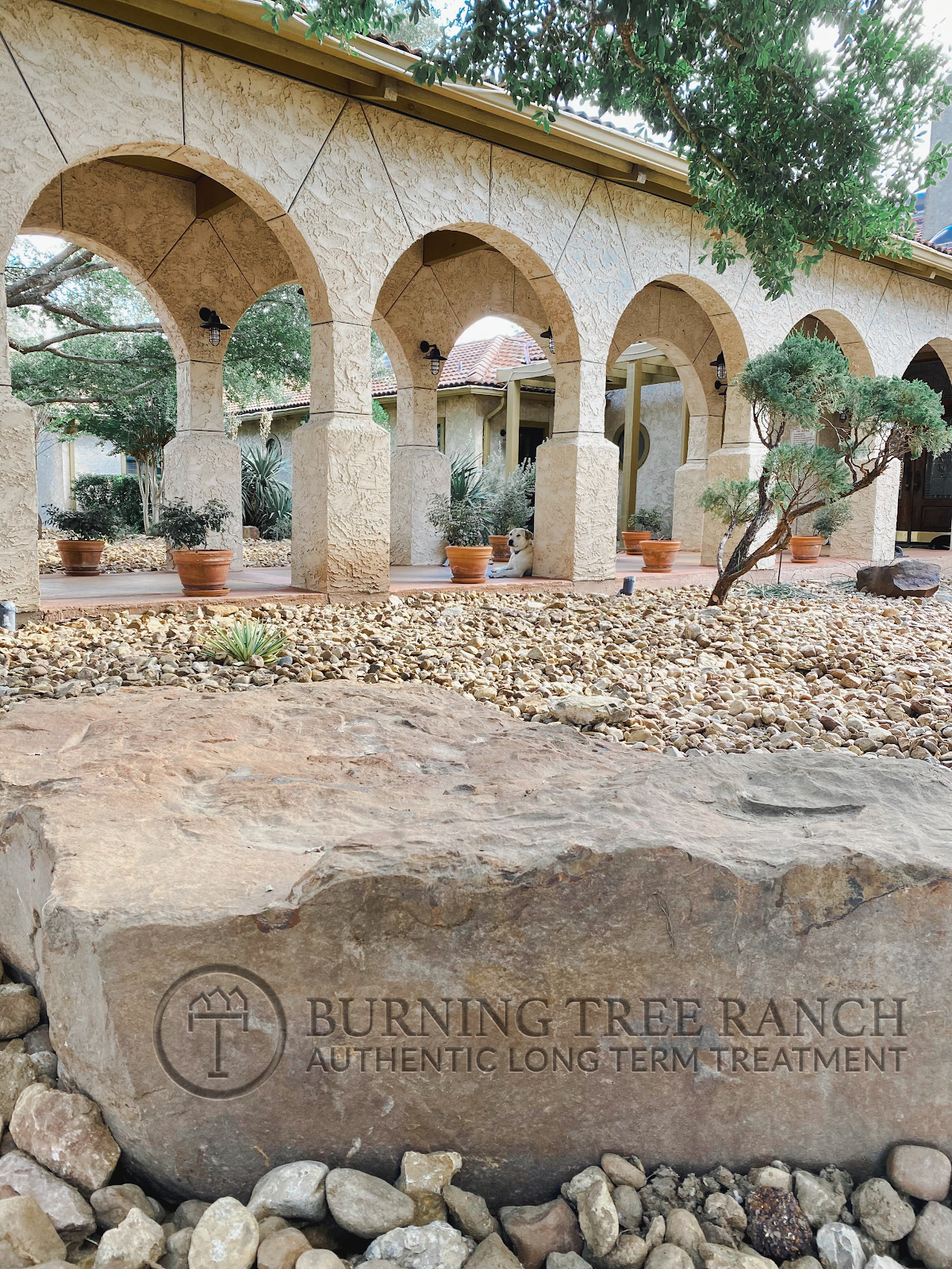 Burning Tree Ranch - Photo 4