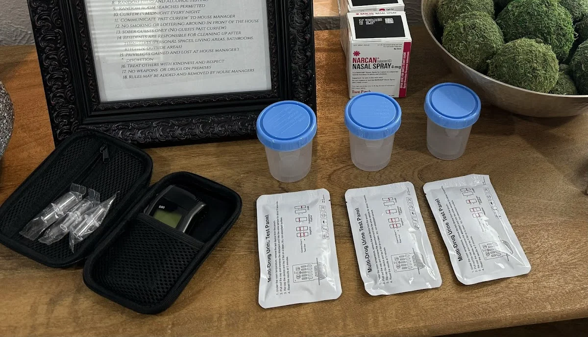 Sober Coaching Dallas RECO