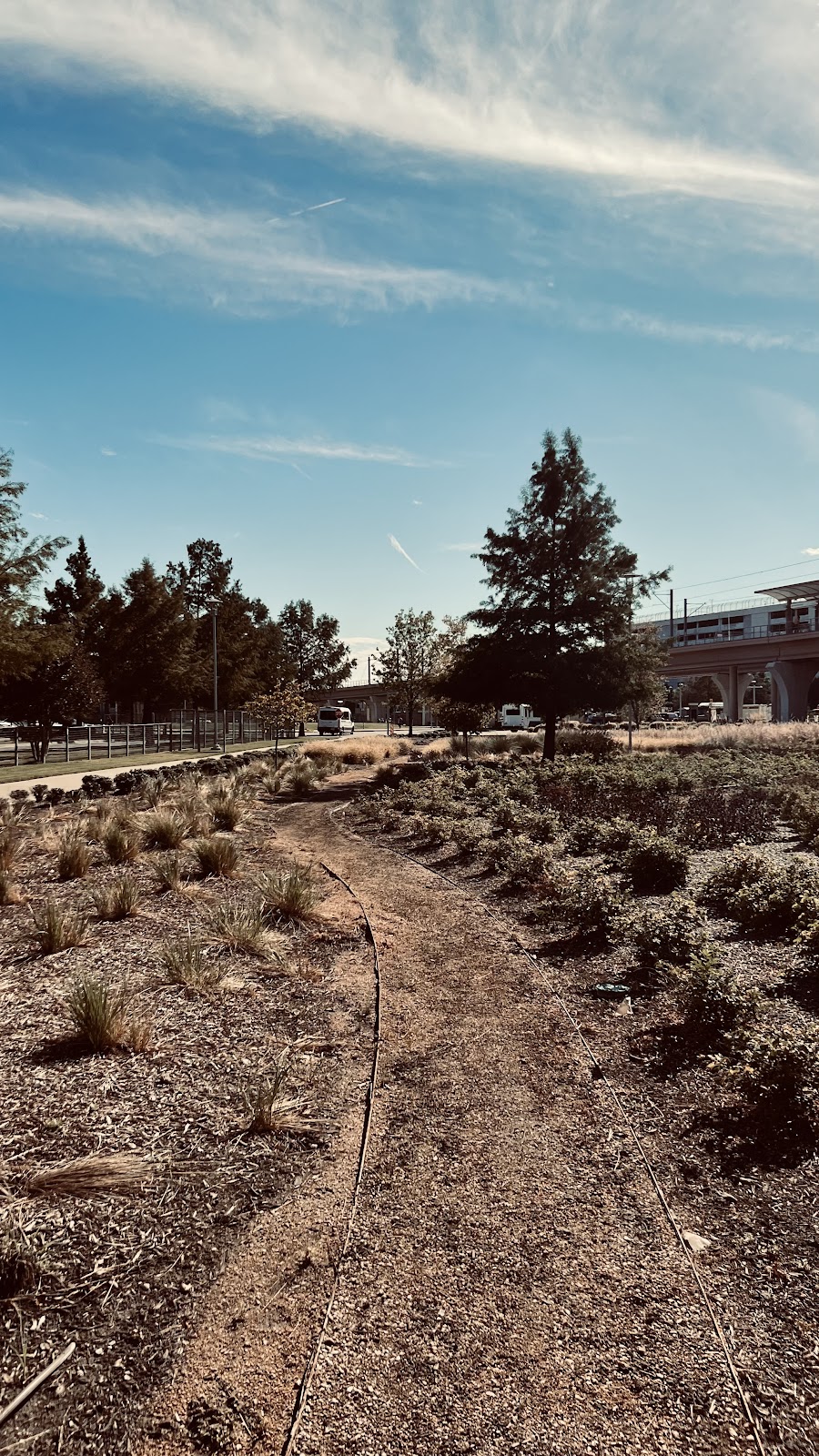 Moody Outpatient Center at Parkland Health - Photo 4
