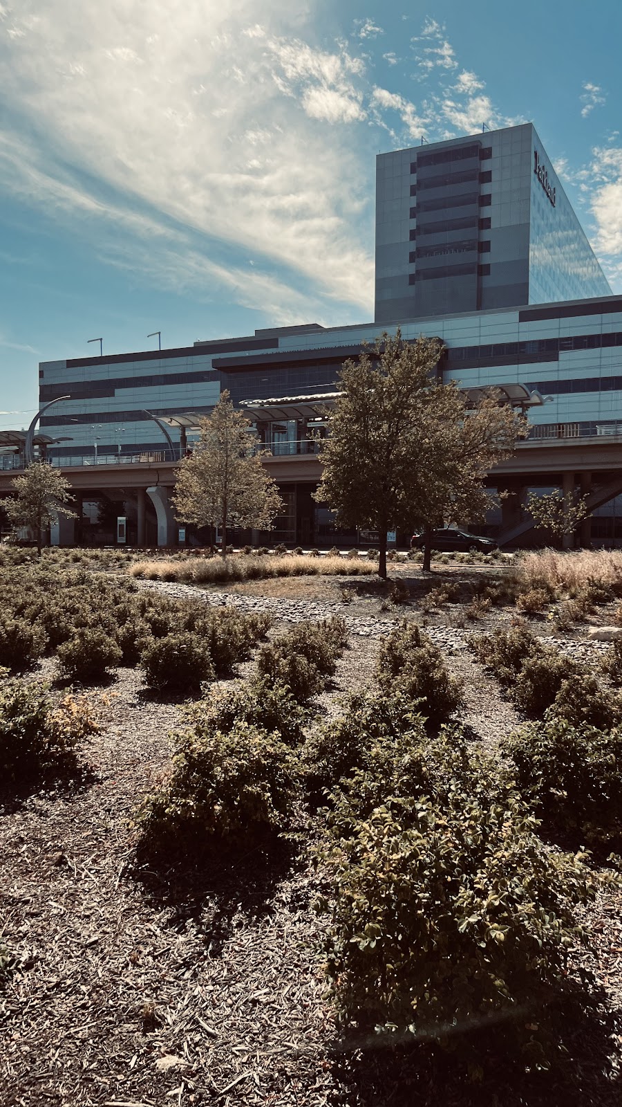 Moody Outpatient Center at Parkland Health - Photo 5