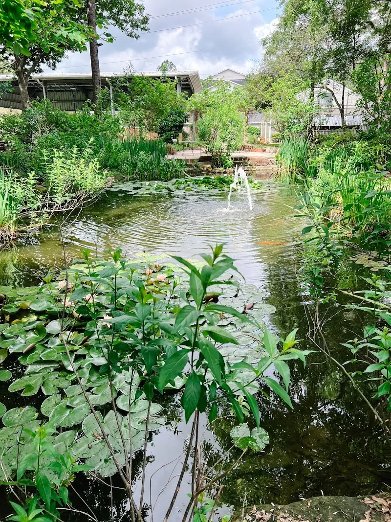 Prevention and Recovery Center (PaRC): Houston Drug and Alcohol Rehab - Photo 5