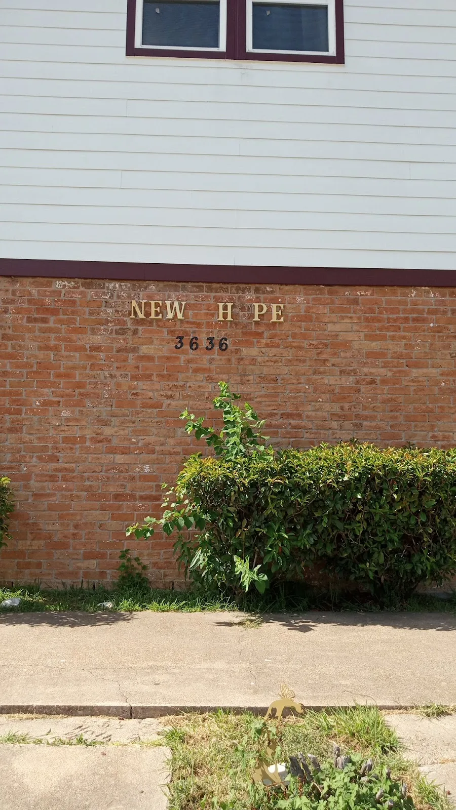 New Hope Women's Center - interior photo