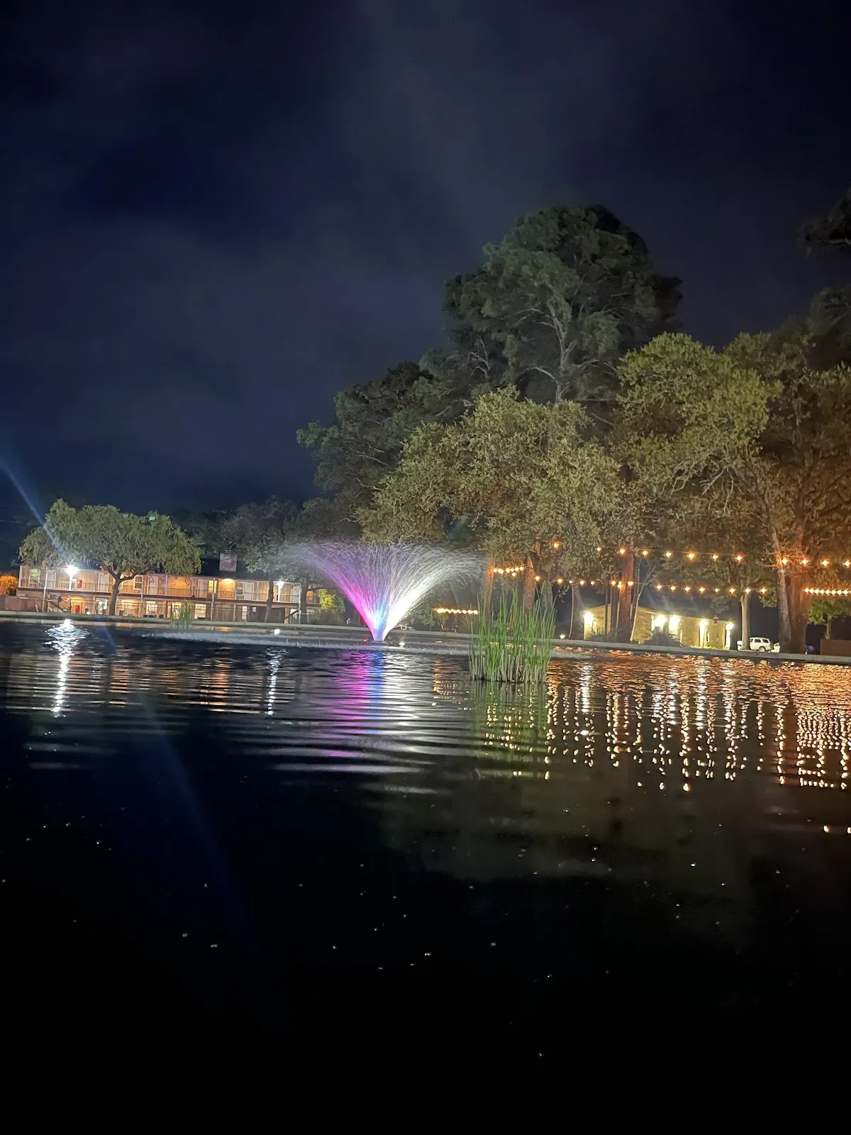 Willow Springs Recovery | Texas Drug & Alcohol Addiction Rehab - Photo 5