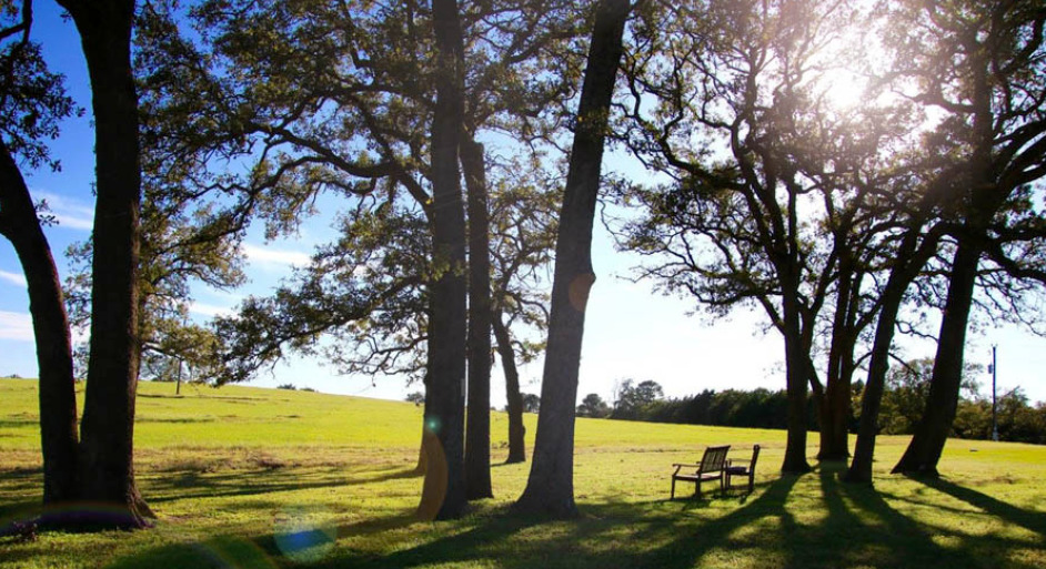 The Last Resort Recovery Center - Foto 6