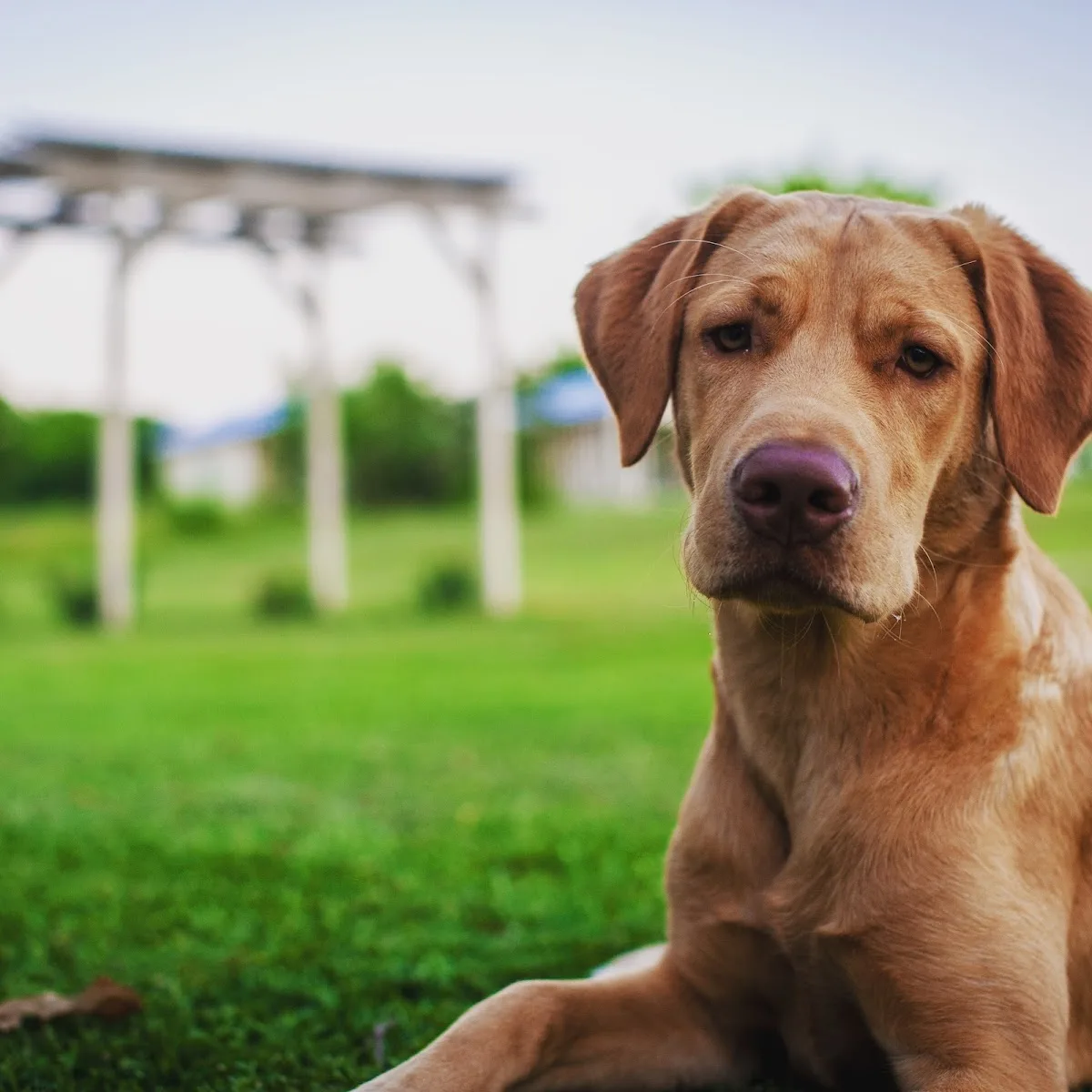 Any Length Retreat Drug & Alcohol Rehab Texas - 사진 4