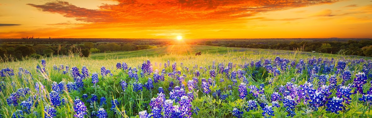 Touchstone Ranch Recovery Center - Foto 6