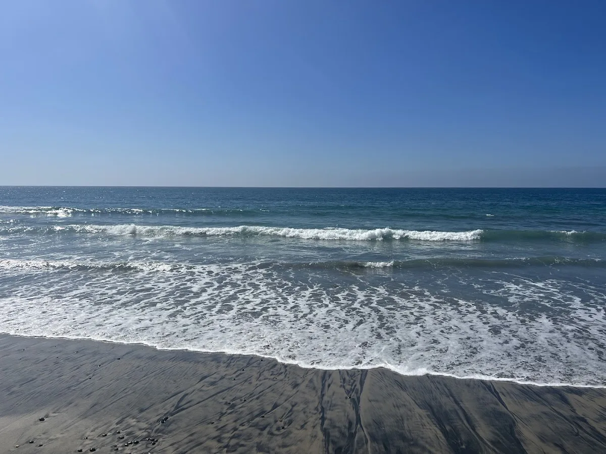 Harmony House Inc - Ảnh 4