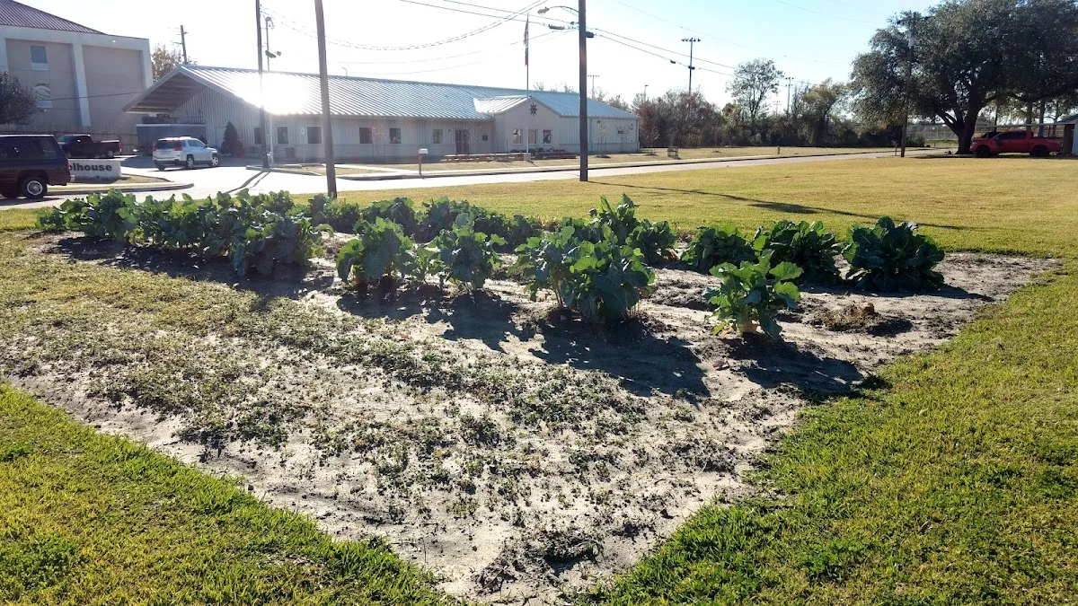 The Wheelhouse - 照片 5