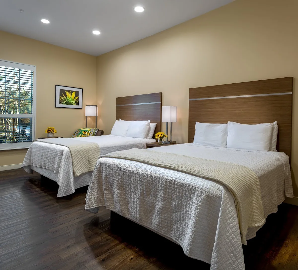 Nora's Home - 사진 3