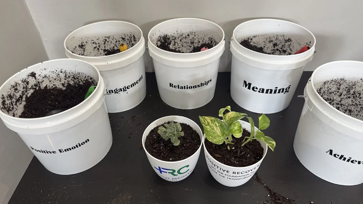 Positive Recovery Centers - Houston, Montrose - Foto 3