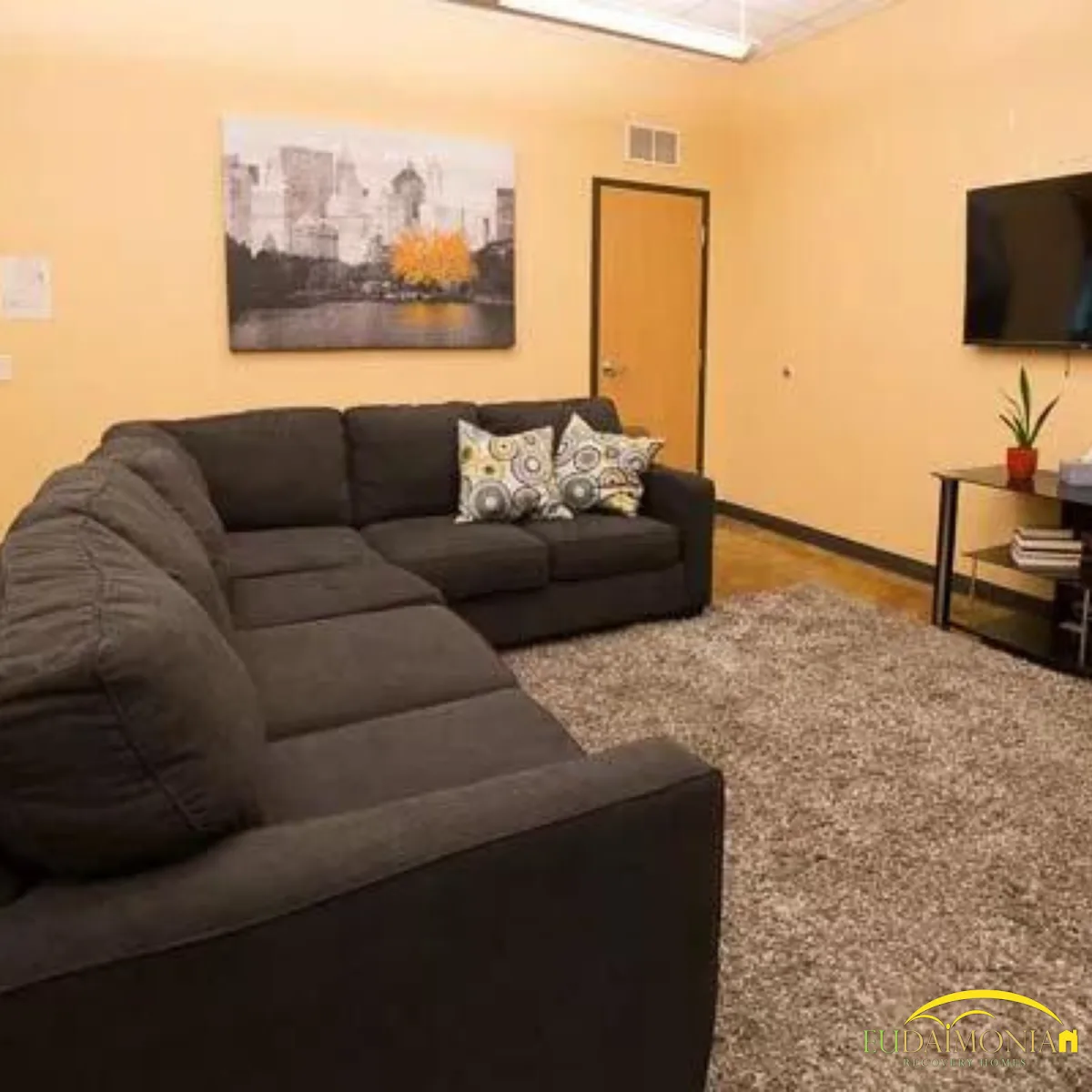 Eudaimonia Sober Living - 照片 5