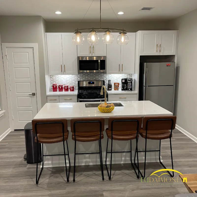 Eudaimonia Recovery Homes Sober Living - Houston, TX - 2 - Photo 4