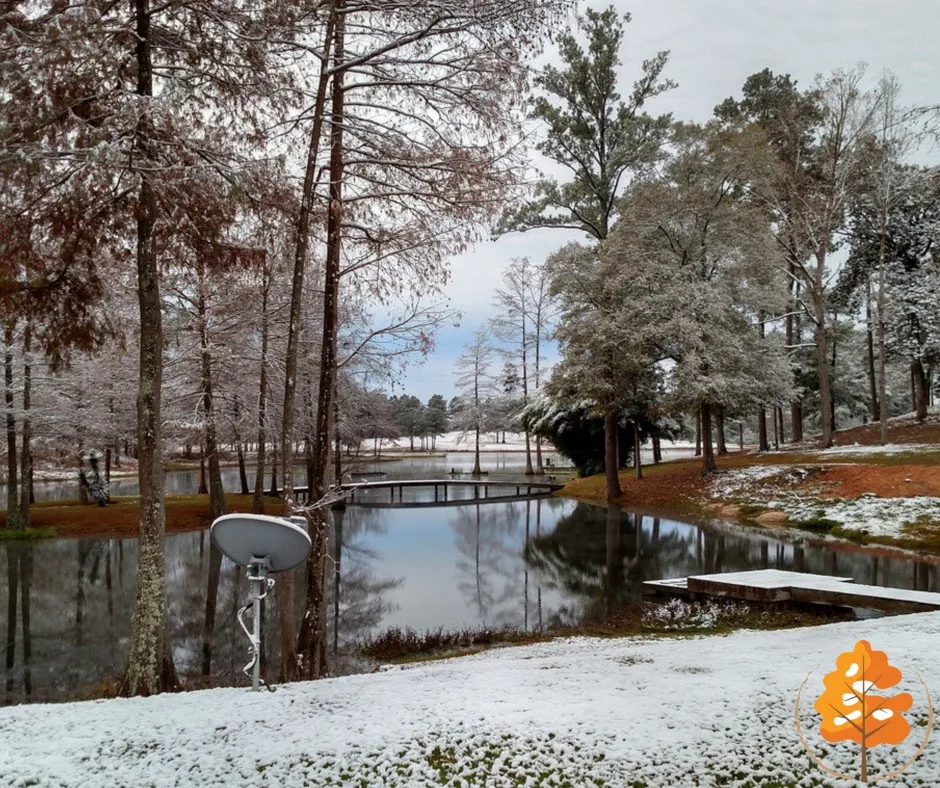 Cypress Lake Recovery - Ảnh 5