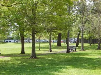 UTHealth Houston Harris County Psychiatric Center - Photo 5