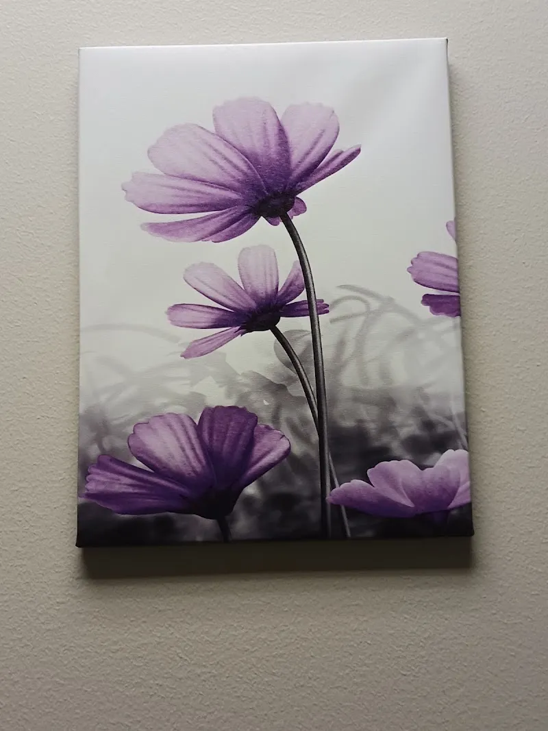 Harris Center for MH and IDD SWAMH - Ảnh 5