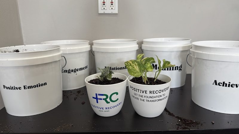 Positive Recovery Centers - Houston, Montrose - Photo 2