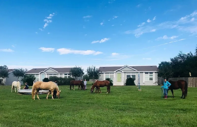 OPI Houston (Formerly Fulshear Treatment to Transition) - Photo 2